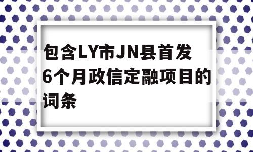 包含LY市JN县首发6个月政信定融项目的词条