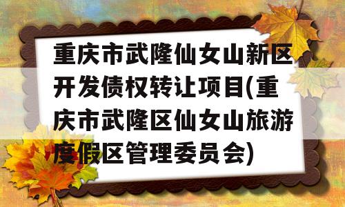 重庆市武隆仙女山新区开发债权转让项目(重庆市武隆区仙女山旅游度假区管理委员会)