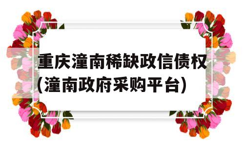 重庆潼南稀缺政信债权(潼南政府采购平台)