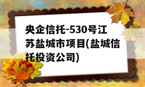 央企信托-530号江苏盐城市项目(盐城信托投资公司)