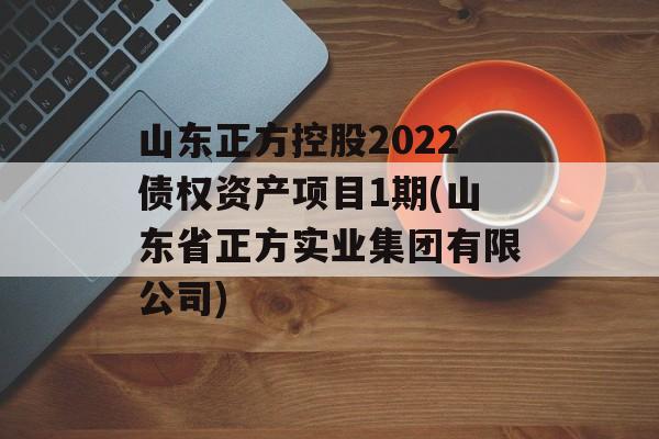 山东正方控股2022债权资产项目1期(山东省正方实业集团有限公司)