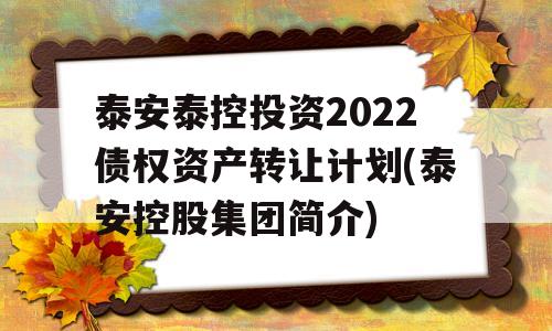 泰安泰控投资2022债权资产转让计划(泰安控股集团简介)