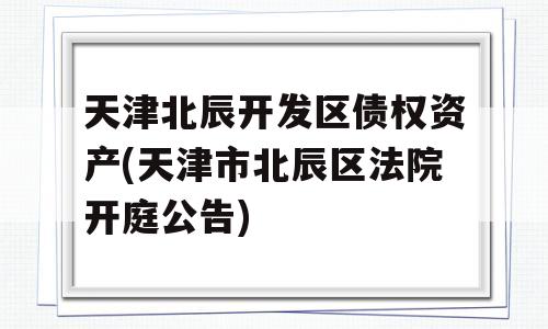 天津北辰开发区债权资产(天津市北辰区法院开庭公告)