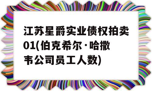 江苏星爵实业债权拍卖01(伯克希尔·哈撒韦公司员工人数)