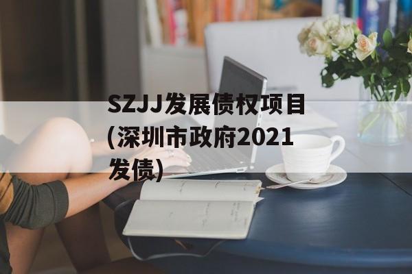 SZJJ发展债权项目(深圳市政府2021发债)