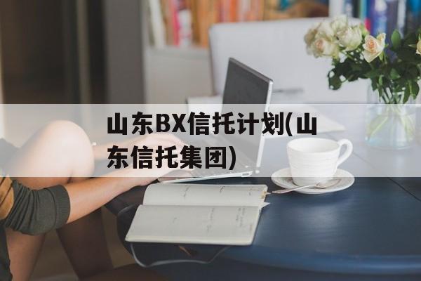 山东BX信托计划(山东信托集团)