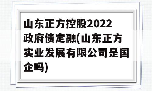 山东正方控股2022政府债定融(山东正方实业发展有限公司是国企吗)