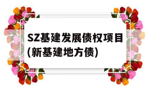 SZ基建发展债权项目(新基建地方债)