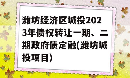 潍坊经济区城投2023年债权转让一期、二期政府债定融(潍坊城投项目)