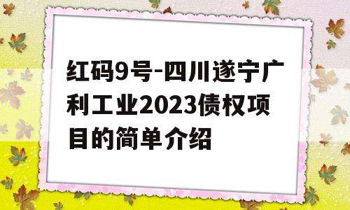 红码9号-四川遂宁广利工业2023债权项目的简单介绍