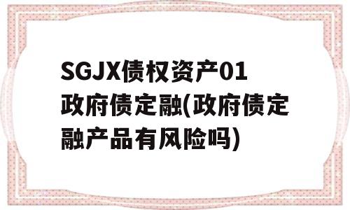 SGJX债权资产01政府债定融(政府债定融产品有风险吗)