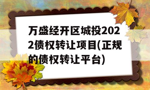 万盛经开区城投2022债权转让项目(正规的债权转让平台)