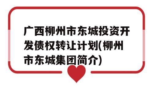 广西柳州市东城投资开发债权转让计划(柳州市东城集团简介)