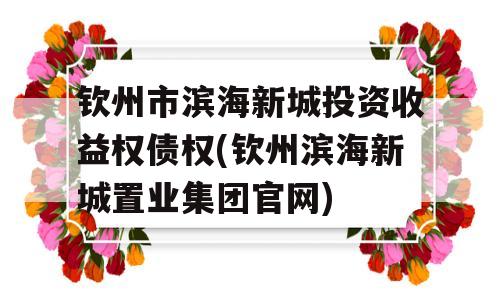 钦州市滨海新城投资收益权债权(钦州滨海新城置业集团官网)