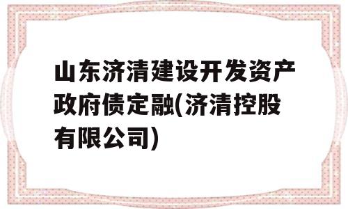 山东济清建设开发资产政府债定融(济清控股有限公司)