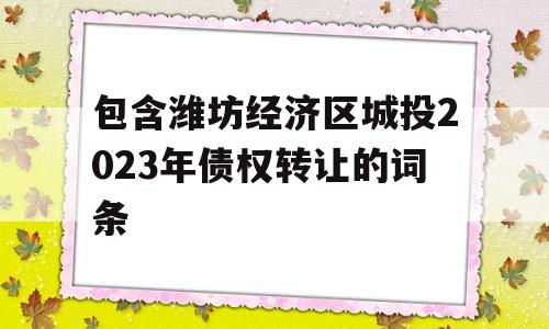 包含潍坊经济区城投2023年债权转让的词条