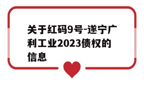 关于红码9号-遂宁广利工业2023债权的信息