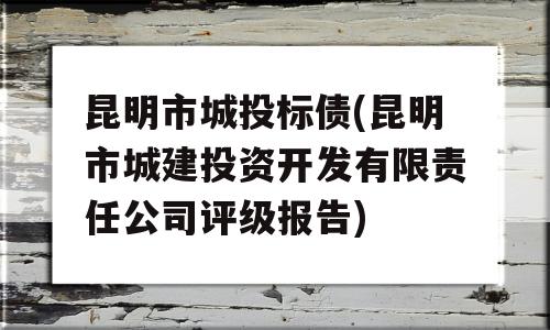 昆明市城投标债(昆明市城建投资开发有限责任公司评级报告)