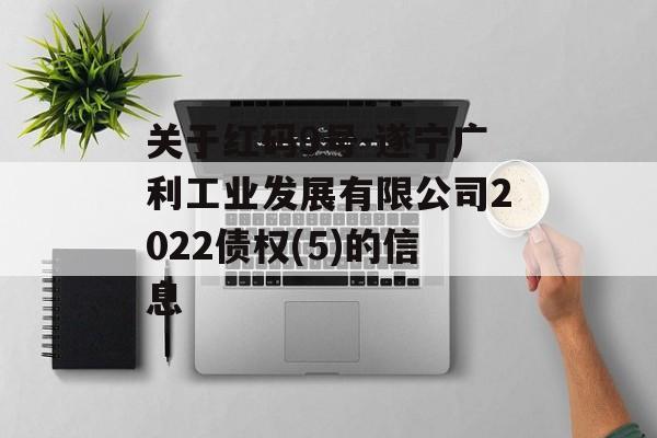 关于红码9号-遂宁广利工业发展有限公司2022债权(5)的信息