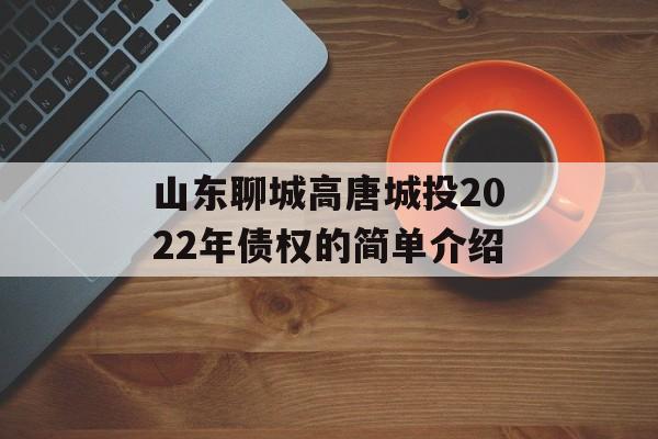 山东聊城高唐城投2022年债权的简单介绍