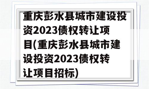 重庆彭水县城市建设投资2023债权转让项目(重庆彭水县城市建设投资2023债权转让项目招标)