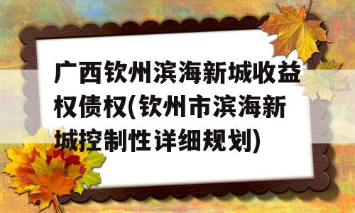 广西钦州滨海新城收益权债权(钦州市滨海新城控制性详细规划)