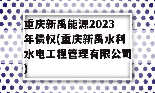 重庆新禹能源2023年债权(重庆新禹水利水电工程管理有限公司)