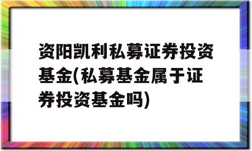 资阳凯利私募证券投资基金(私募基金属于证券投资基金吗)