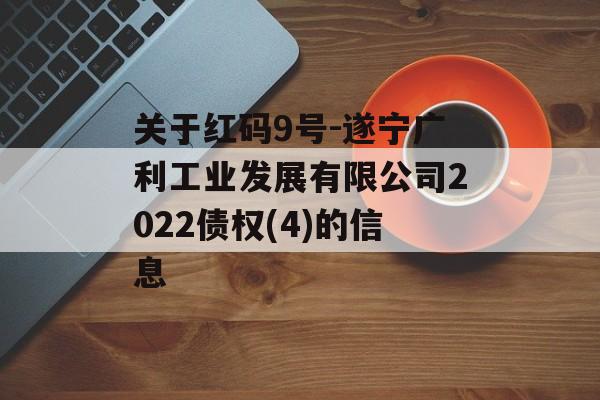 关于红码9号-遂宁广利工业发展有限公司2022债权(4)的信息