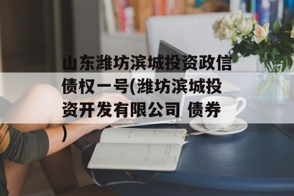 山东潍坊滨城投资政信债权一号(潍坊滨城投资开发有限公司 债券)