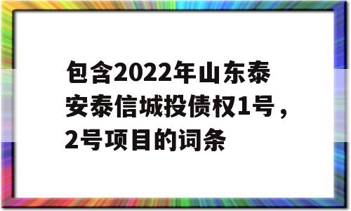 包含2022年山东泰安泰信城投债权1号，2号项目的词条