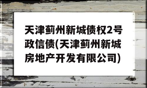 天津蓟州新城债权2号政信债(天津蓟州新城房地产开发有限公司)