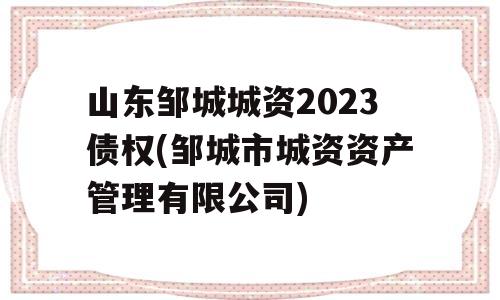 山东邹城城资2023债权(邹城市城资资产管理有限公司)