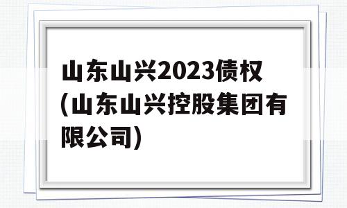 山东山兴2023债权(山东山兴控股集团有限公司)