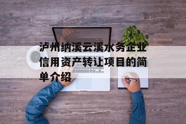 泸州纳溪云溪水务企业信用资产转让项目的简单介绍