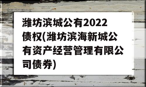 潍坊滨城公有2022债权(潍坊滨海新城公有资产经营管理有限公司债券)