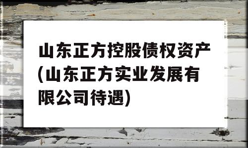 山东正方控股债权资产(山东正方实业发展有限公司待遇)