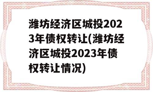 潍坊经济区城投2023年债权转让(潍坊经济区城投2023年债权转让情况)