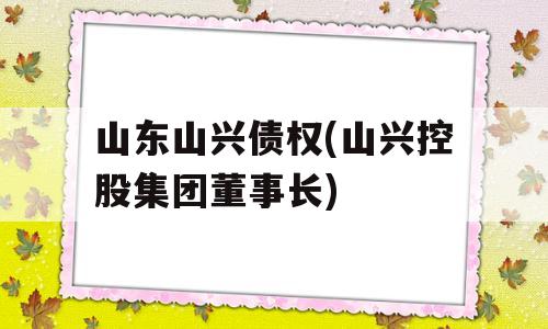 山东山兴债权(山兴控股集团董事长)