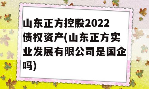 山东正方控股2022债权资产(山东正方实业发展有限公司是国企吗)