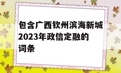 包含广西钦州滨海新城2023年政信定融的词条