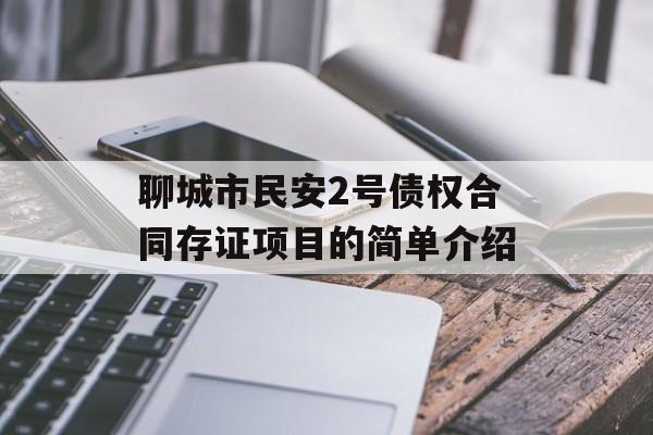 聊城市民安2号债权合同存证项目的简单介绍