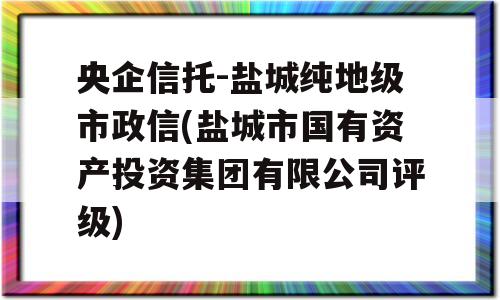 央企信托-盐城纯地级市政信(盐城市国有资产投资集团有限公司评级)