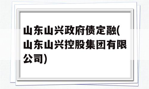 山东山兴政府债定融(山东山兴控股集团有限公司)