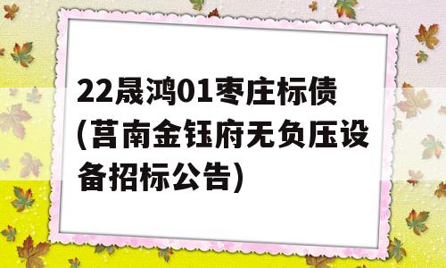 22晟鸿01枣庄标债(莒南金钰府无负压设备招标公告)