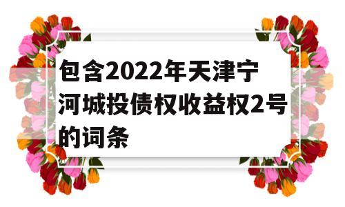 包含2022年天津宁河城投债权收益权2号的词条