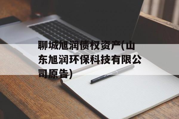 聊城旭润债权资产(山东旭润环保科技有限公司原告)