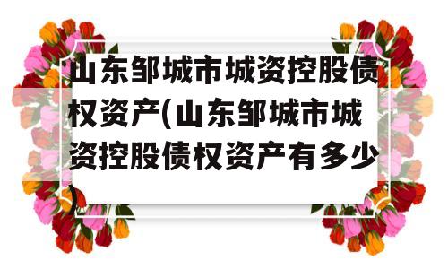 山东邹城市城资控股债权资产(山东邹城市城资控股债权资产有多少)