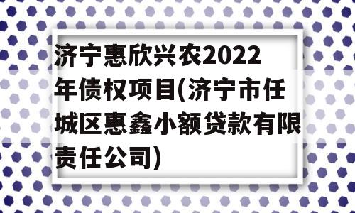 济宁惠欣兴农2022年债权项目(济宁市任城区惠鑫小额贷款有限责任公司)