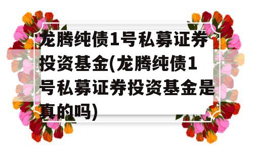 龙腾纯债1号私募证券投资基金(龙腾纯债1号私募证券投资基金是真的吗)